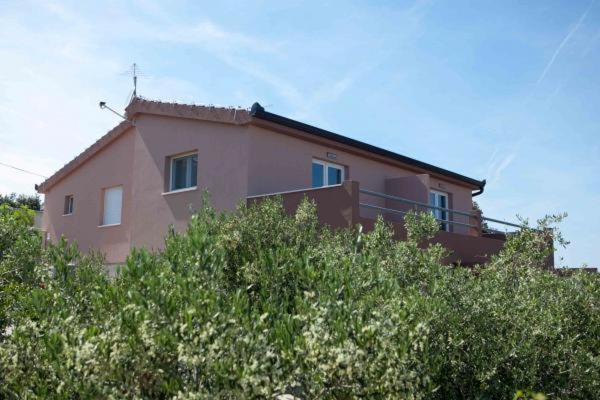 Apartman Darko Рогозница Екстериор снимка